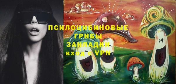 круглые Каменногорск