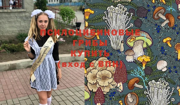 гашиш Каменка